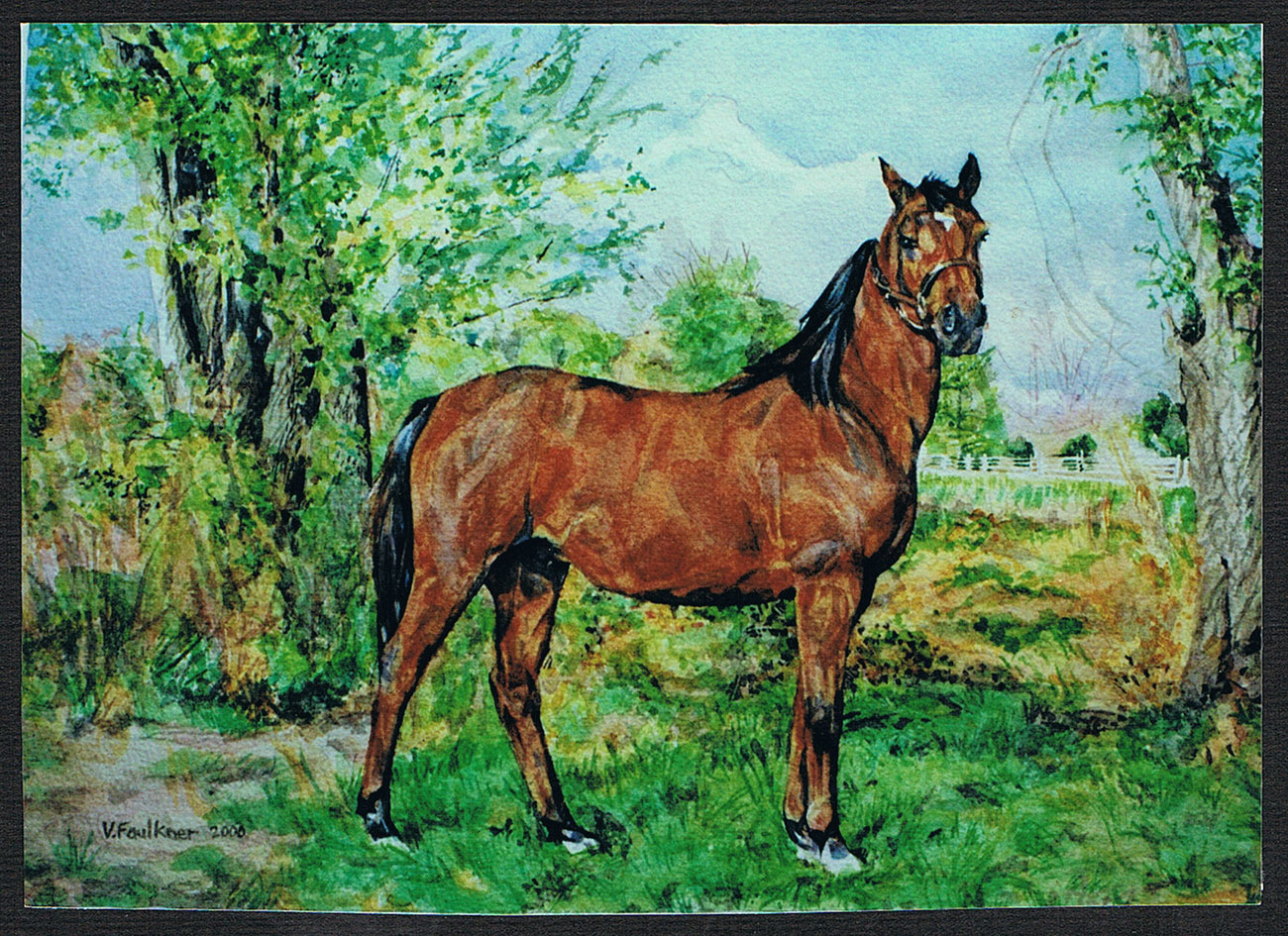 watercolor horse portrait