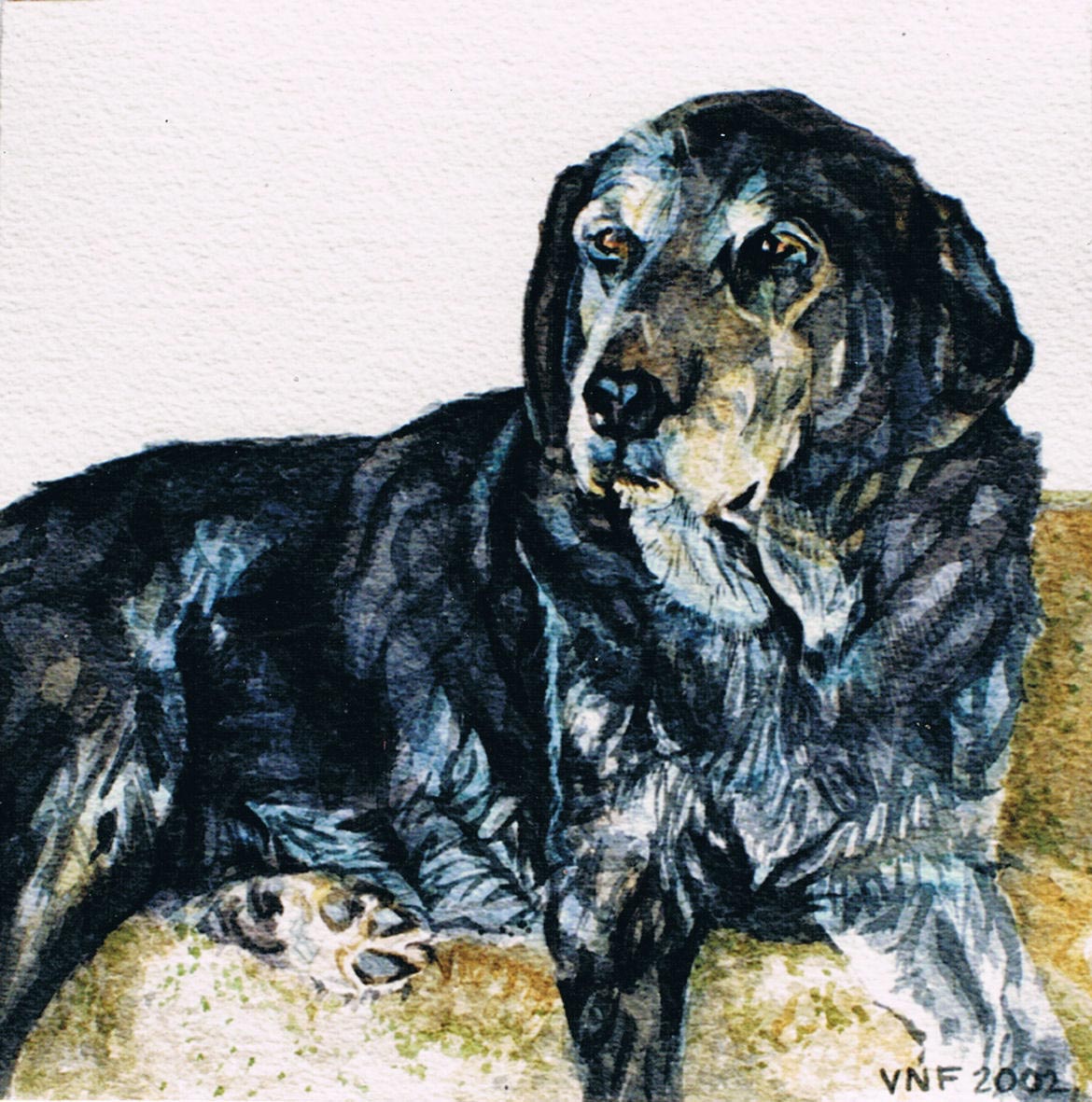 Skeeter-watercolor dog portrait
