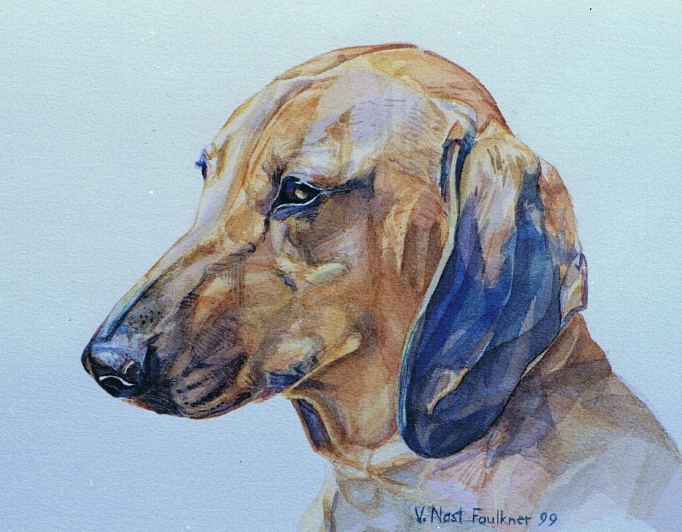 Watercolor dachshund portrait Kansas City artist